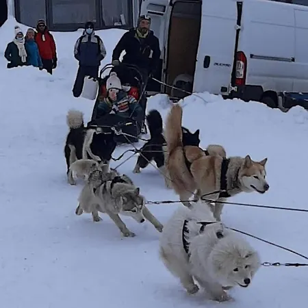 Les Pioupious De Club Engaly 2 Pour 4 Personnes Apartment