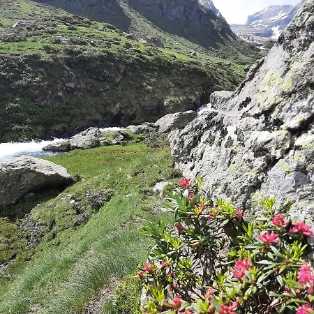 Les Pioupious De Club Engaly 2 Pour 4 Personnes *